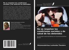 Bookcover of No se respetan las condiciones sociales y de salud de los detenidos