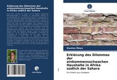 Erklärung des Dilemmas der einkommensschwachen Haushalte in Afrika südlich der Sahara kitap kapağı