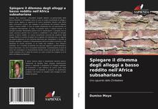 Bookcover of Spiegare il dilemma degli alloggi a basso reddito nell'Africa subsahariana