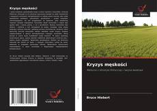 Bookcover of Kryzys męskości