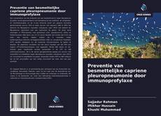 Bookcover of Preventie van besmettelijke capriene pleuropneumonie door immunoprofylaxe