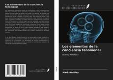 Buchcover von Los elementos de la conciencia fenomenal