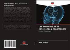 Les éléments de la conscience phénoménale的封面