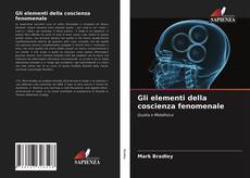 Copertina di Gli elementi della coscienza fenomenale