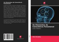 Couverture de Os Elementos da Consciência Fenomenal