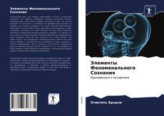 Buchcover von Элементы Феноменального Сознания