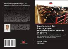 Bookcover of Amélioration des fourrages par supplémentation en urée et soufre