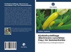 Copertina di Kürbisfruchtfliege (Bactrocera cucurbitae Coq.) Im Sommerkürbis