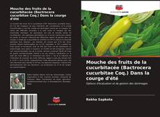 Обложка Mouche des fruits de la cucurbitacée (Bactrocera cucurbitae Coq.) Dans la courge d'été