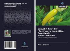 Обложка Cucurbit Fruit Fly (Bactrocera cucurbitae Coq.) In de zomerpompoen