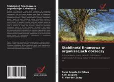 Bookcover of Stabilność finansowa w organizacjach dorzeczy