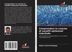 Bookcover of Comprendere la crescita di nanofili epitassiali InAs/GaAs