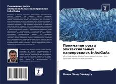 Couverture de Понимание роста эпитаксиальных нанопроволок InAs/GaAs