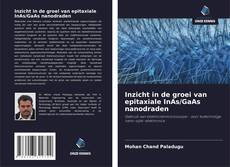 Bookcover of Inzicht in de groei van epitaxiale InAs/GaAs nanodraden