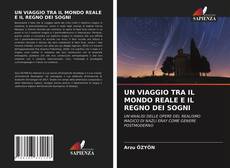 Copertina di UN VIAGGIO TRA IL MONDO REALE E IL REGNO DEI SOGNI