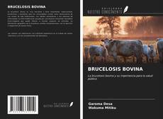 Portada del libro de BRUCELOSIS BOVINA