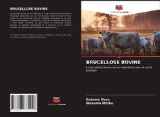 Capa do livro de BRUCELLOSE BOVINE 