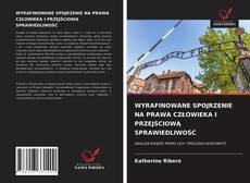 WYRAFINOWANE SPOJRZENIE NA PRAWA CZŁOWIEKA I PRZEJŚCIOWĄ SPRAWIEDLIWOŚĆ的封面