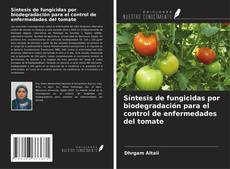 Copertina di Síntesis de fungicidas por biodegradación para el control de enfermedades del tomate