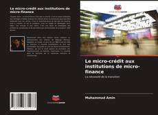 Обложка Le micro-crédit aux institutions de micro-finance