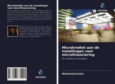Microkrediet aan de instellingen voor microfinanciering kitap kapağı