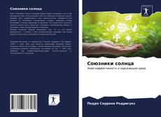 Bookcover of Союзники солнца