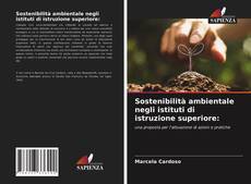 Sostenibilità ambientale negli istituti di istruzione superiore: kitap kapağı