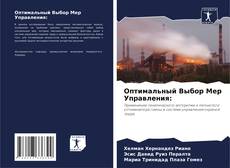 Couverture de Оптимальный Выбор Мер Управления: