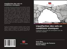 Copertina di Liquéfaction des sols en conditions sismiques