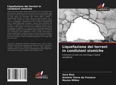 Portada del libro de Liquefazione dei terreni in condizioni sismiche