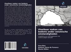 Bookcover of Vloeibaar maken van bodems onder seismische omstandigheden