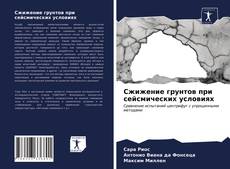 Buchcover von Сжижение грунтов при сейсмических условиях