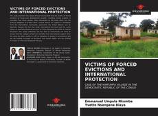 Portada del libro de VICTIMS OF FORCED EVICTIONS AND INTERNATIONAL PROTECTION