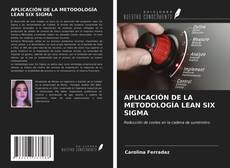 Copertina di APLICACIÓN DE LA METODOLOGÍA LEAN SIX SIGMA