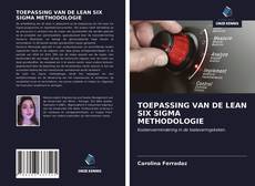 Bookcover of TOEPASSING VAN DE LEAN SIX SIGMA METHODOLOGIE