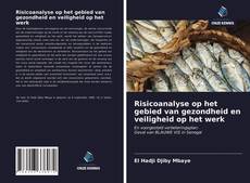 Bookcover of Risicoanalyse op het gebied van gezondheid en veiligheid op het werk