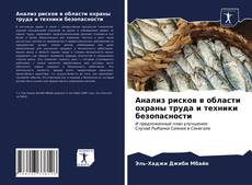 Buchcover von Анализ рисков в области охраны труда и техники безопасности