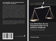 Los derechos de los homosexuales en la política moderna的封面
