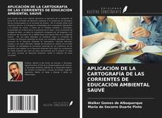 APLICACIÓN DE LA CARTOGRAFÍA DE LAS CORRIENTES DE EDUCACIÓN AMBIENTAL SAUVÉ的封面