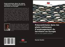 Обложка Polycentrisme dans les plans nationaux d'aménagement du territoire en Europe