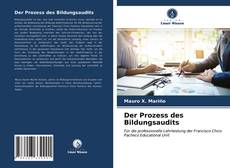 Der Prozess des Bildungsaudits的封面