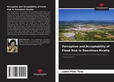 Perception and Acceptability of Flood Risk in Downtown Ricatla的封面