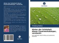 Capa do livro de Hinter der Schönheit dieser Feuerwerkskörper, versteckt: 