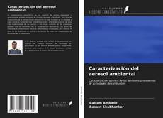 Portada del libro de Caracterización del aerosol ambiental