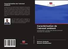 Bookcover of Caractérisation de l'aérosol ambiant