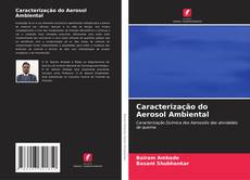 Обложка Caracterização do Aerosol Ambiental