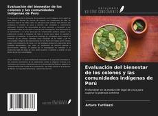 Borítókép a  Evaluación del bienestar de los colonos y las comunidades indígenas de Perú - hoz