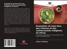 Évaluation du bien-être des Colonos et des communautés indigènes du Pérou kitap kapağı