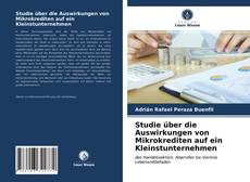 Capa do livro de Studie über die Auswirkungen von Mikrokrediten auf ein Kleinstunternehmen 