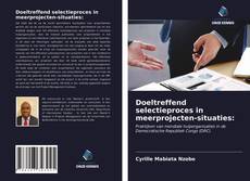 Bookcover of Doeltreffend selectieproces in meerprojecten-situaties: